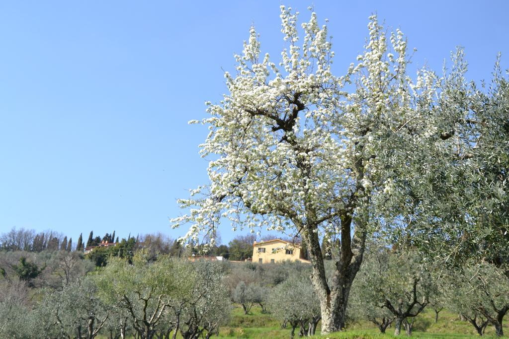 Agriturismo La Corte Pistoia Buitenkant foto